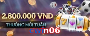 cwin06