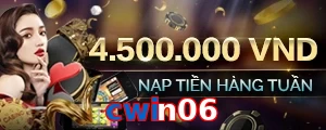 cwin06