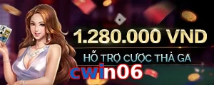 cwin06