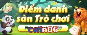 cwin06